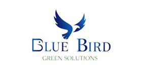 Blue bird